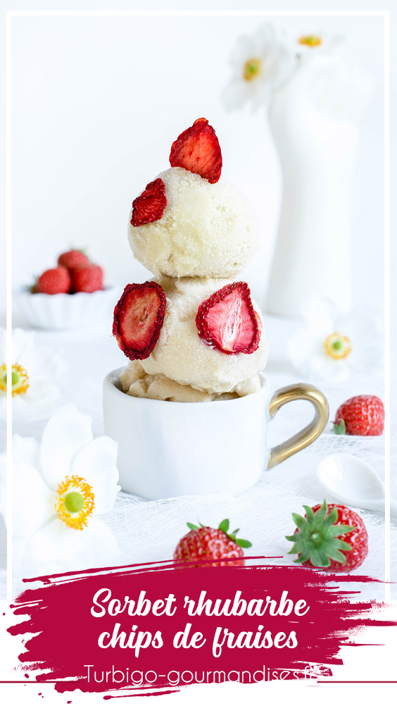 Recette de sorbet rhubarbe et chips de fraises