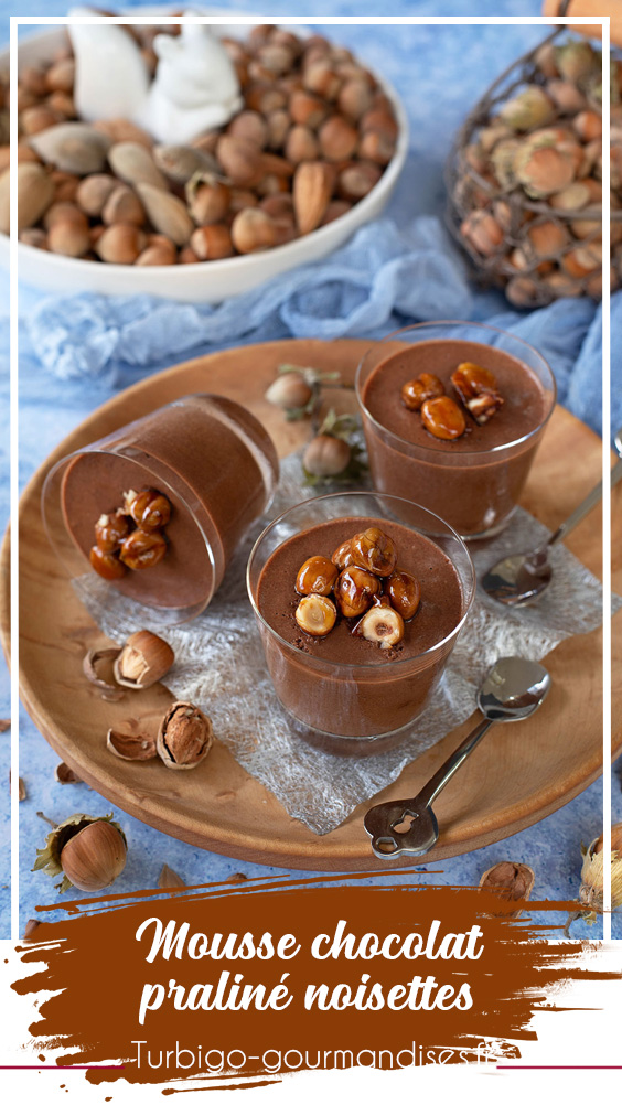 Mousse au chocolat praliné noisettes