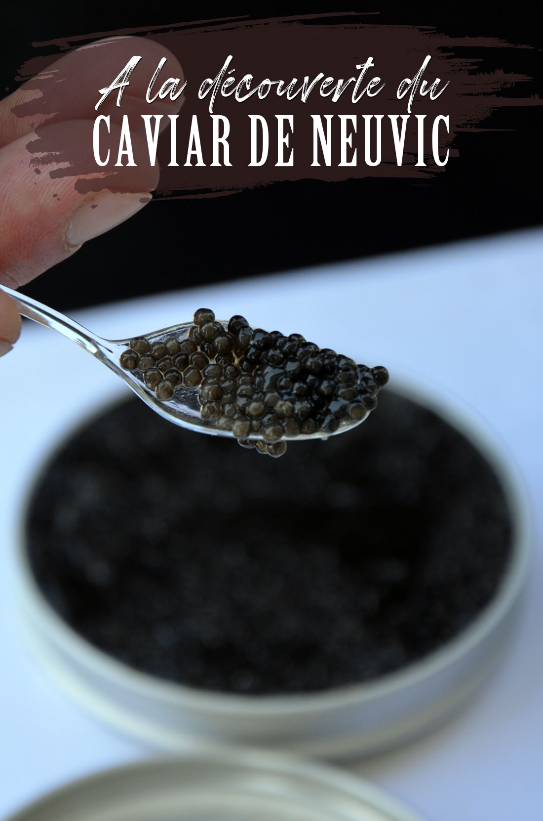 A la découverte du caviar de Neuvic