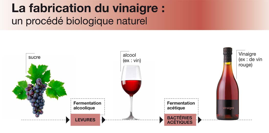fabrication du vinaigre