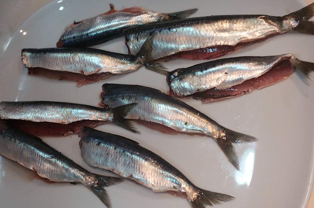 filets de sardines