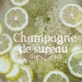 champagne de sureau