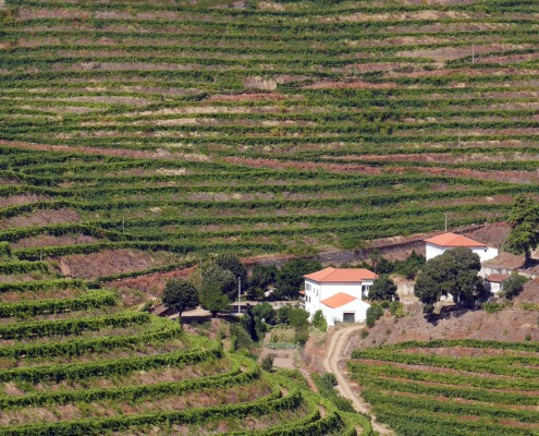 A la découverte de la Vallée du Douro