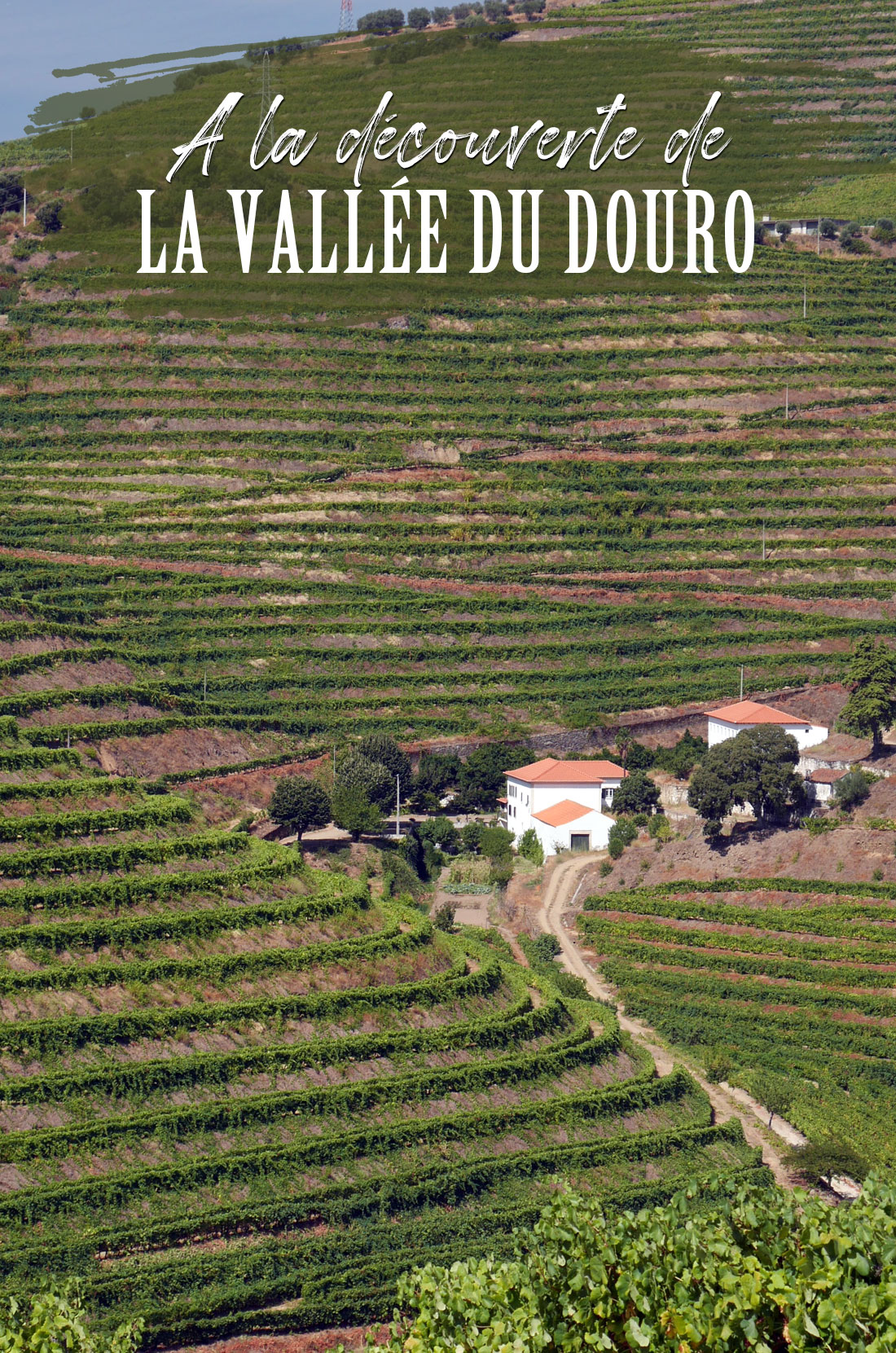 A la découverte de la Vallée du Douro