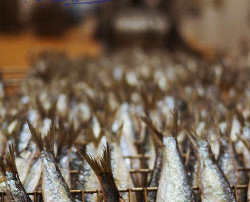 A la découverte de l'usine de sardines Chancerelle