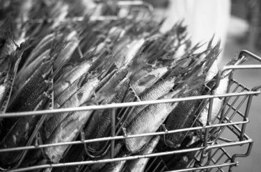 fabrication des boites de sardines Connétable