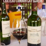 A la découverte des vins du Château Cambon La Pelouse