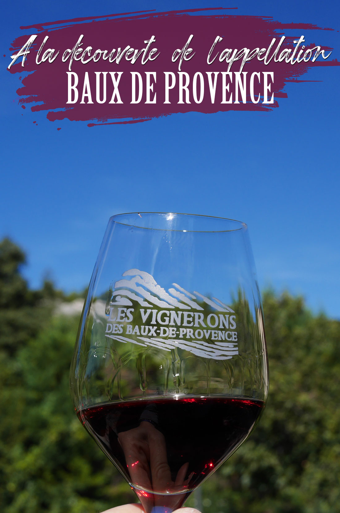 Découverte de l'appellation Baux de Provence