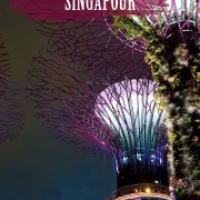 A la découverte de Singapour