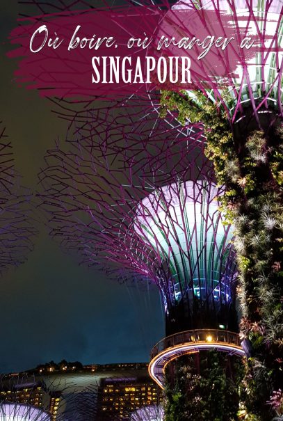 A la découverte de Singapour