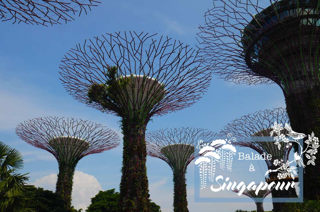Gardens by the bay singapour