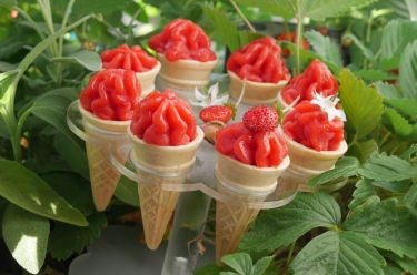 Mini cornets de sorbet fraise et rose maison