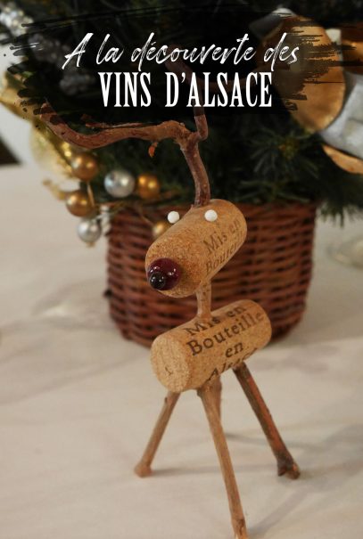 A la découverte des Vins d'Alsace
