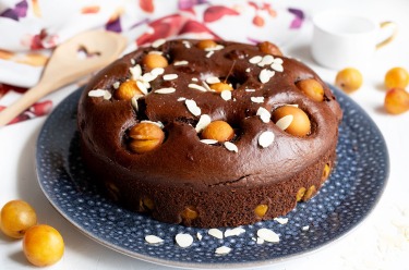 Reine de Saba, gâteau chocolat mirabelles IG bas